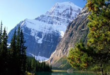 乌拉圭足球阵容有哪些亮点？能否在国际赛事中再创佳绩？